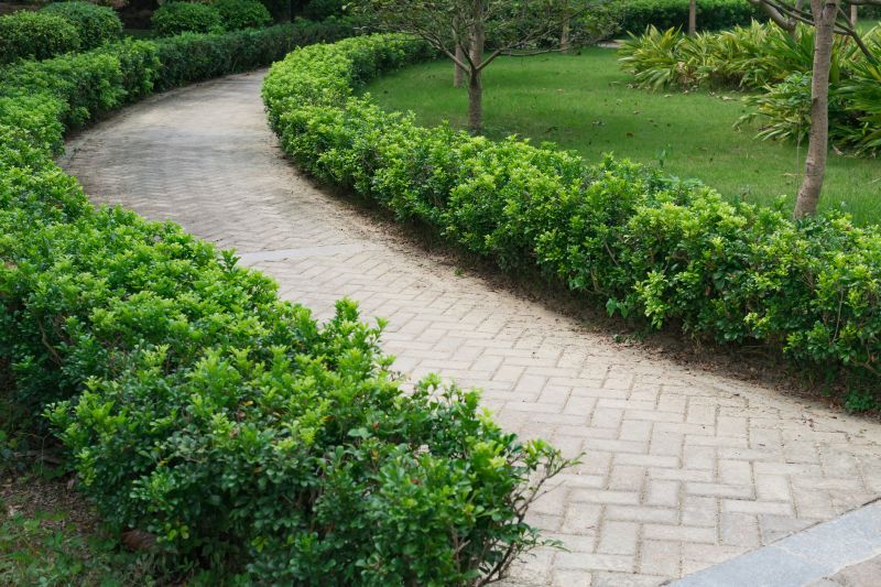 How Paver Hardscaping Transforms Outdoor Living Spaces