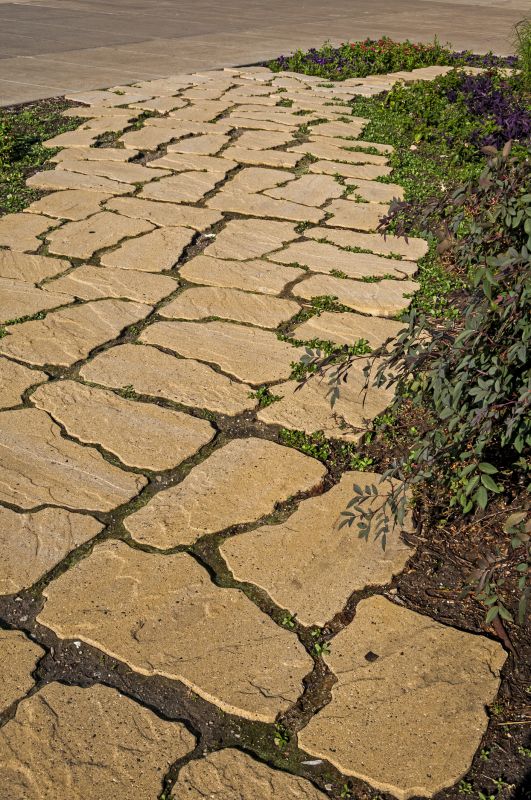 Restored Paver Surface